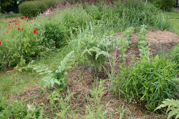 Butte de permaculture © Nicolas Macaire / LPO